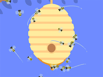 Transitions between BEEHIVE - PAINTER PALETTE and LEMUR 2d after effects animation morphing motion design shape