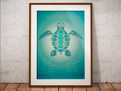 Sea Turtle Line Drawing drawing illustrator lines ocean science sea turtle turtle water