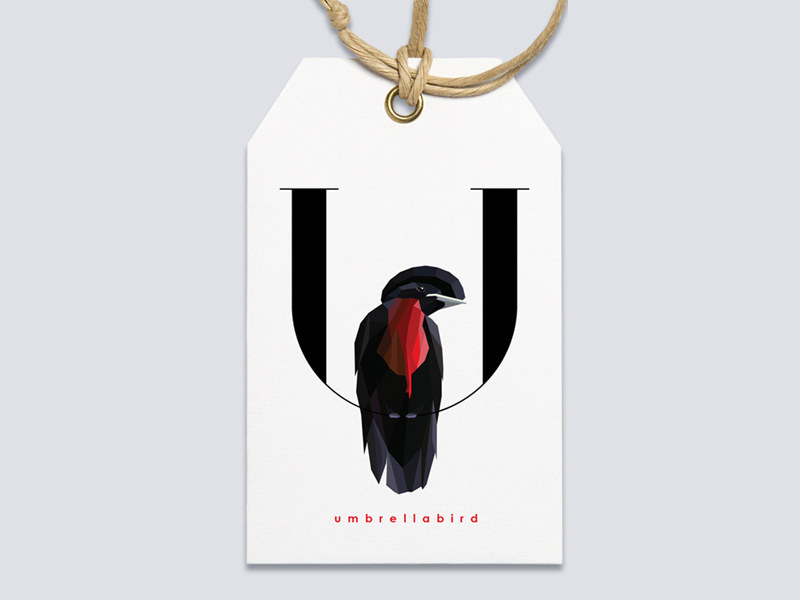 Example of Logo Design