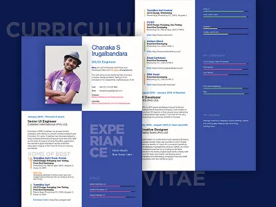 Curriculum Vitae curriculumvitae cv editorial flat print resume skills ui ux