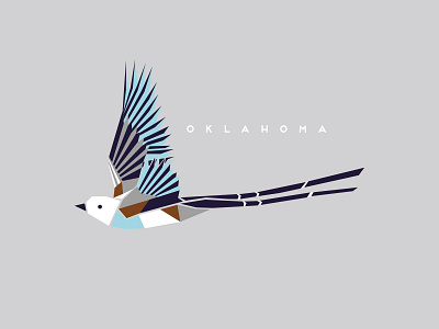 Scissortail bird illustration oklahoma scissortail