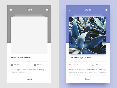 photo-sharing app app plants prototype ui