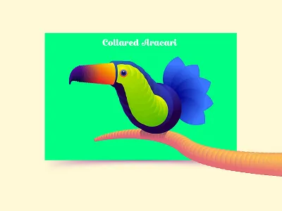 Collared Aracari bird gradient illustration simple sphere toucan