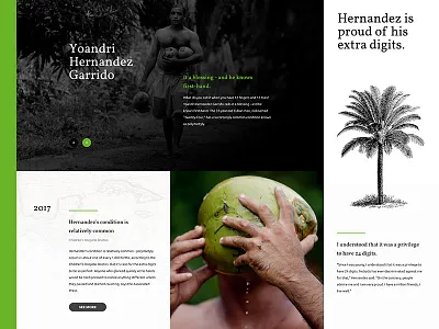 Yoandri color design flat google icon inspiration interface main material ui ux web