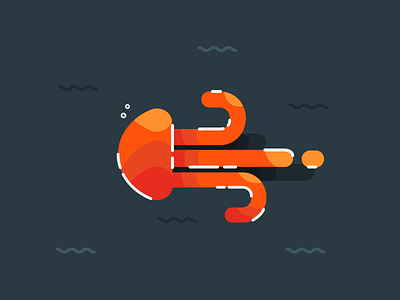 Jellyfish deepsea jelly jellyfish red sea water