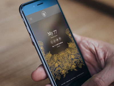 My77 responsive website design concept clothes clothing fashion girl mobil my77 responsive shop webdesign website