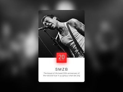 SMZB-20th