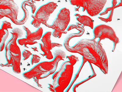 3D Birds + Bees 3d birdsandbees poster rgb