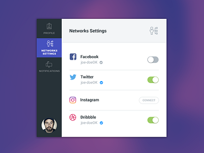 User Networks Settings 007 dahsboard dailyui networks settings ui user ux