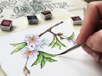 Spring blossom blossom flower watercolor