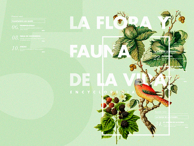 Flowers Encyclopedia book collection design editorial fashion flowers magazine pink print story stripes