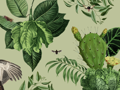 Botanicals bird botanical bugs cactus mural palm tree wall
