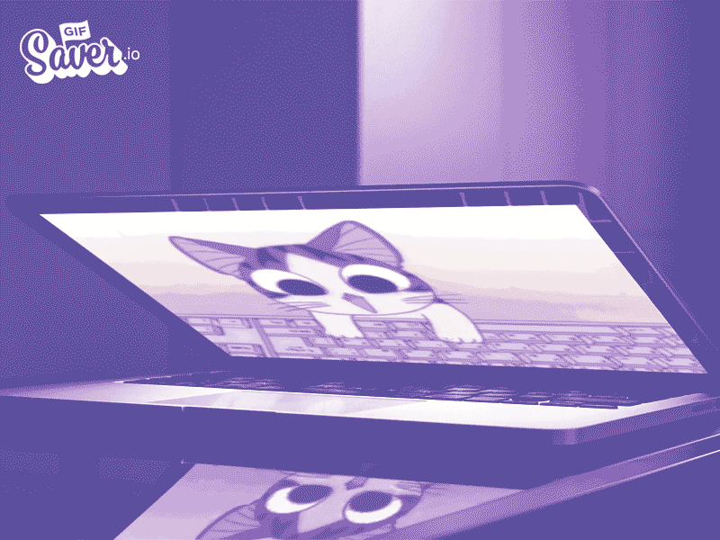 GifSaver.io - inspirational screensaver that shows gifs you like giphy inspiration mac screensaver