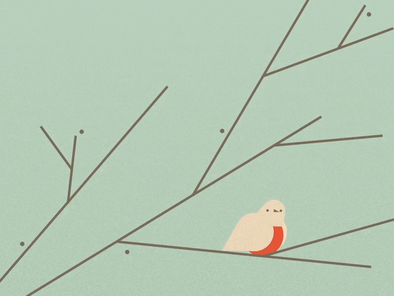 I'm Watching... 2d animation bird christmas cold design illustration motion graphics motiongraphics robin vintage winter