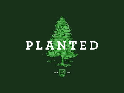 Planted alphabet custom type design graphic graphic design icon identity illustration logo typography vector