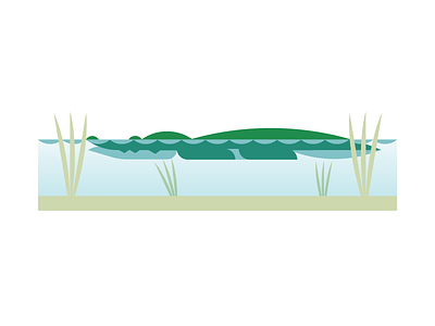 Gator aligator animal color gator illustration shape swamp swimming warmup water