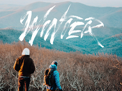Winter brush handlettering letter logo nature script type typography winter