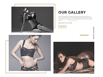 Lingerie design gallery grey lingerie modern ui