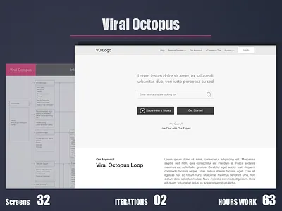 Viral Octopus best design designer expert india portfolio top ui user experience ux web wireframe