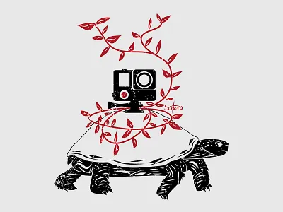 Hidden action camera doing a slow motion action book camera concept editorial gopro illustrateur illustration ilustrador magazine turtle