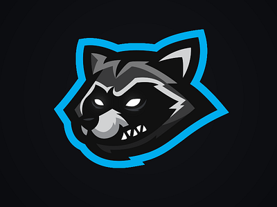 Raccoon Mascot Logo design esports logo mascot raccoon