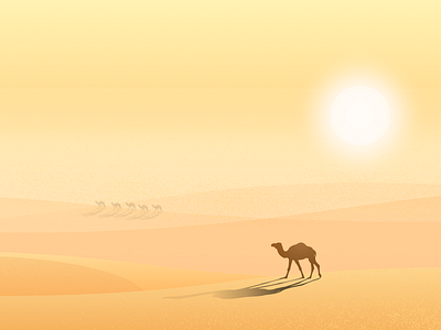 camel illustrations