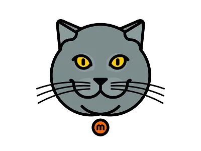 Massimo the cat blue british british shorthair cat chunky eyes feline grey massimo meow my cat yellow