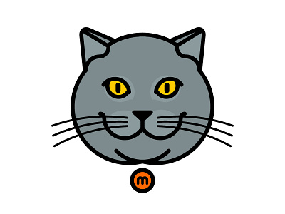 Massimo the cat blue british british shorthair cat chunky eyes feline grey massimo meow my cat yellow