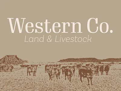 Cattle Ranch Business Card business cards cattle cattle ranch cowboy cowgirl cows engraving graphic illustration land livestock photoshop ranch sketch western wyoming