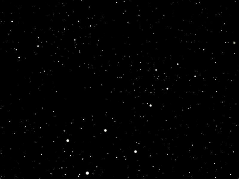 The Eggs of destiny app christmas fate magic ball new year predictions rooster