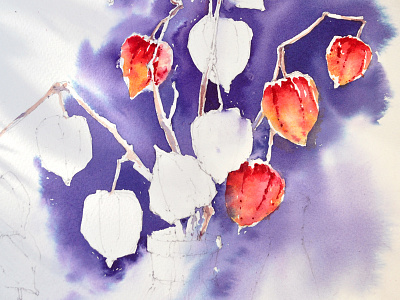 Garden lanterns :) 665000 watercolor botany flora flowers garden herbarium herbs plants