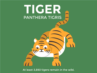 Tiger tiger