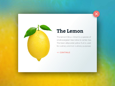 Do you like lemon dailyui ui