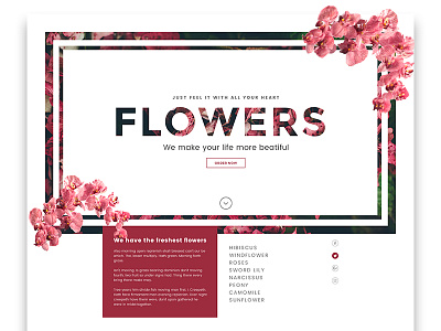 Flowers design flowers header red ui