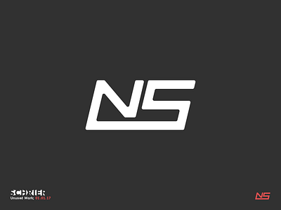 NS branding design illustrator logo ns