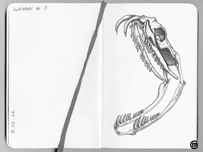 Snake Skull (Inktober 2016) animals drawing illustration ink inkpens inktober inktober2016. inkspiration pointillism skull snake