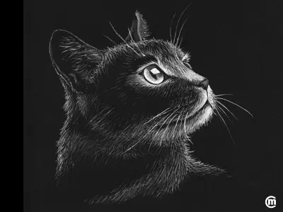 Cat Portrait (Inktober 2016) animals cat drawing illustration ink inkpens inktober inktober2016. inkspiration kitty portrait