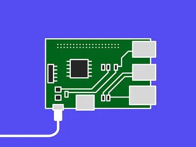 Raspberry hardware illustration raspeberry triggi