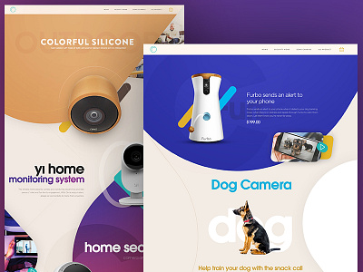 Landing Page Home Safe camera color design dog landing logo page responsive web