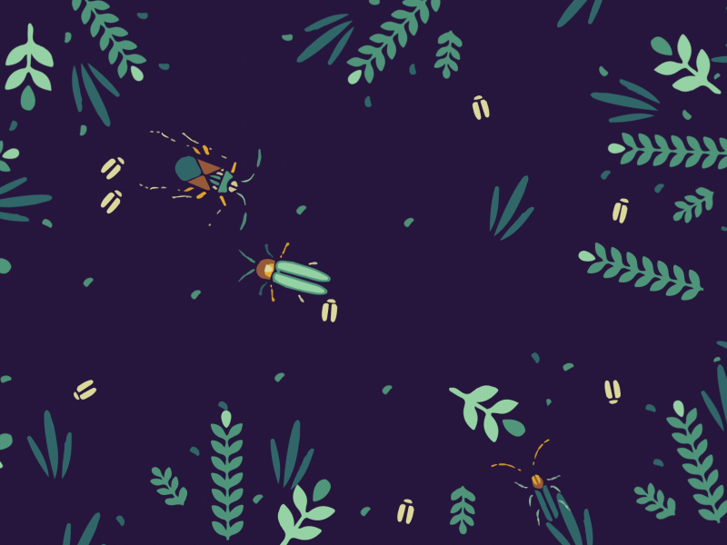 Browse thousands of Bug Gif images for design inspiration | Dribbble