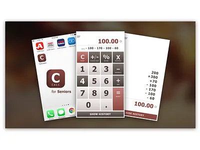 CALC for Seniors 002 calculator dailyui