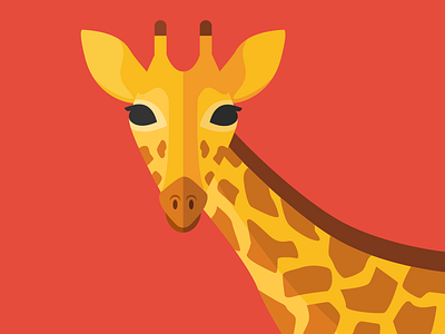 Animal cards: The Giraffe animal card cute flat giraffe illustration nature savannah