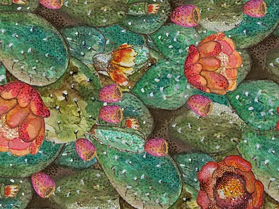 Thorn & Flowers cactus flowers illustration mexican pattern watercolor