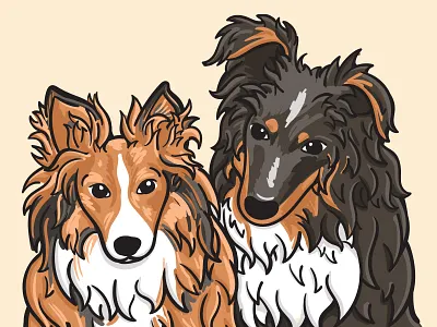 Pet Portrait animal brown collie dog dogs drawing graphic illustration pets portrait vector