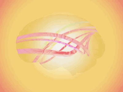 David Huntsberger's "One-Headed Beast" — Dream Brain brain comedy david huntsberger gif motion motion 5 motion graphic motion graphics spiral spirals stand up standup