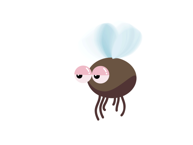 flying fly after effects fly illustrator
