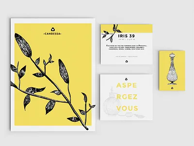 Eau de package beauty branding botanical engraving floral illustration line drawing logo monochromatic perfume perfume branding yellow