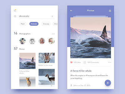 photo-sharing app app discovery photo ui