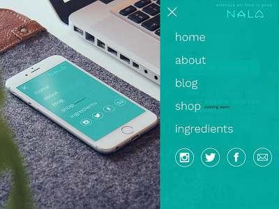 Nala Navigation cosmetic iphone mobile nala navigation ui ux visual design web