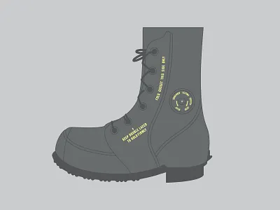 MIL-B-41816 Type I boot cold mickey mouse milspec